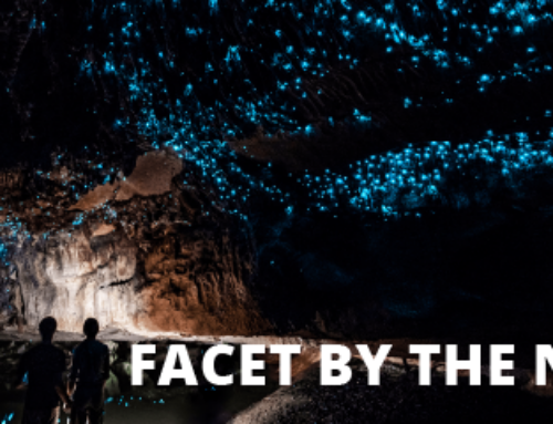 Facet By The Numbers – Q1 2023